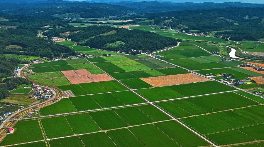 盘活 闲置 土地 城市品质 新闻_男活高富帅潘驴邓小闲_盘活 闲置 土地 城市品质 新闻