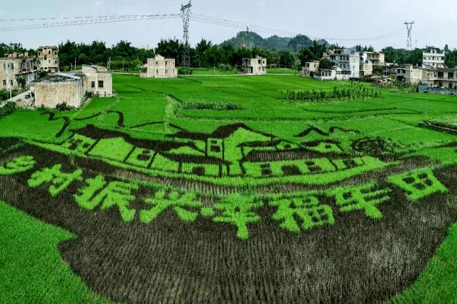 盘活 闲置 土地 城市品质 新闻_国有土地置换的有关法律_闭置土地处置办法